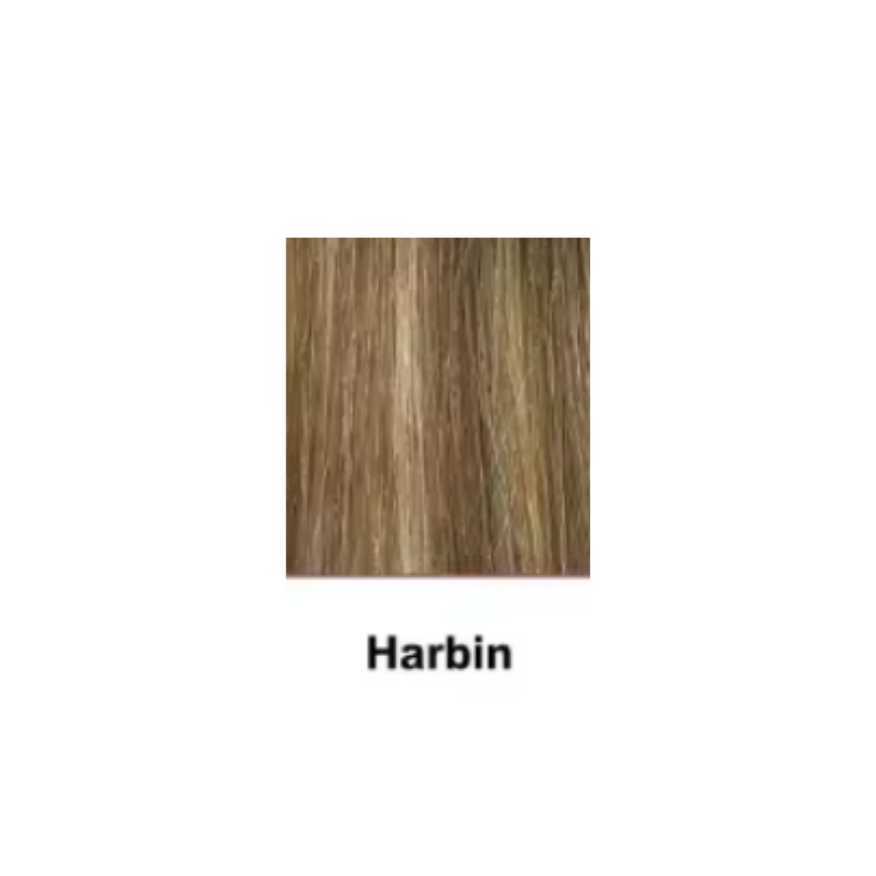 Volumateur en Cheveux Naturels - Base en Soie : Intégration Invisible Doublement Lissée