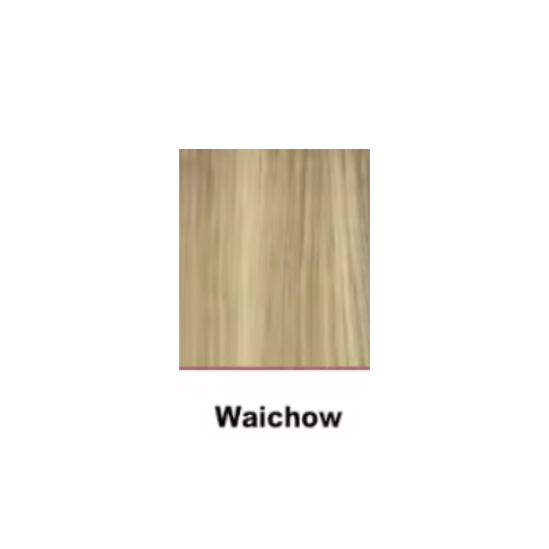 Volumateur en Cheveux Naturels - Base en Soie : Intégration Invisible Doublement Lissée